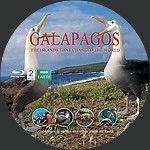 Filename=Galapagos_28seaguls29.jpg
Filesize=1499KiB
Dimensions=1500x1500
Date added=Apr 12, 2015 Galapagos_28seaguls29.jpg