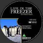 Part_4_-_Life_In_The_Freezer_Label_1.jpg