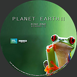 Filename=Planet_Earth_II_4K_label_D1.jpg
Filesize=541KiB
Dimensions=1500x1500
Date added=Feb 29, 2020 Planet_Earth_II_4K_label_D1.jpg