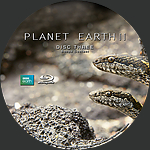 Filename=Planet_Earth_II_4K_label_D3.jpg
Filesize=950KiB
Dimensions=1500x1500
Date added=Feb 29, 2020 Planet_Earth_II_4K_label_D3.jpg
