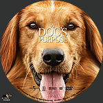 Filename=ADP_label1.jpg
Filesize=4636KiB
Dimensions=1500x1500
Date added=Mar 29, 2017 ADP_label1.jpg