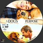 Filename=ADP_label2.jpg
Filesize=1302KiB
Dimensions=1500x1500
Date added=Mar 29, 2017 ADP_label2.jpg