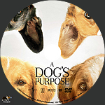 Filename=ADP_label3.jpg
Filesize=1451KiB
Dimensions=1500x1500
Date added=Mar 29, 2017 ADP_label3.jpg