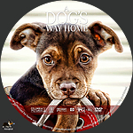 Filename=A_Dog_s_Way_Home_label.jpg
Filesize=998KiB
Dimensions=1500x1500
Date added=Feb 17, 2019 A_Dog_s_Way_Home_label.jpg