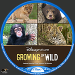 Filename=Growing_up_Wild_label__BR_.jpg
Filesize=1591KiB
Dimensions=1500x1500
Date added=May 05, 2022 Growing_up_Wild_label__BR_.jpg