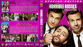 Horrible_Bosses_Dbl_28BR29-v2.jpg