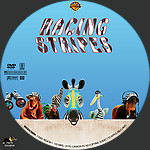 Racing_Stripes_28200529_CUSTOM_v2.jpg