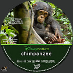 chimpanzee.jpg