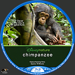 Filename=chimpanzee__BR_.jpg
Filesize=1421KiB
Dimensions=1500x1500
Date added=Jun 11, 2017 chimpanzee__BR_.jpg