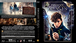 FantasticBeastsandWheretoFindThemBD.jpg
