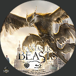 Filename=FantasticBeastsandWheretoFindThem_BRL_V2_2016.jpg
Filesize=5397KiB
Dimensions=1500x1500
Date added=Oct 22, 2024 FantasticBeastsandWheretoFindThem_BRL_V2_2016.jpg
