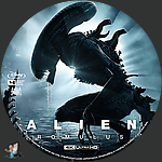 Filename=Alien_Romulus_4K_BD_v15.jpg
Filesize=807KiB
Dimensions=1500x1500
Date added=Jul 30, 2024 Alien_Romulus_4K_BD_v15.jpg