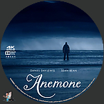 Filename=Anemone_4K_BD_v4.jpg
Filesize=352KiB
Dimensions=1500x1500
Date added=Oct 21, 2025 Anemone_4K_BD_v4.jpg