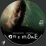 Filename=Anemone_BD_v1.jpg
Filesize=403KiB
Dimensions=1500x1500
Date added=Oct 21, 2025 Anemone_BD_v1.jpg