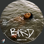 Filename=Bird_4K_BD_v1.jpg
Filesize=1953KiB
Dimensions=1500x1500
Date added=Dec 28, 2024 Bird_4K_BD_v1.jpg