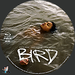 Filename=Bird_BD_v1.jpg
Filesize=1948KiB
Dimensions=1500x1500
Date added=Dec 28, 2024 Bird_BD_v1.jpg