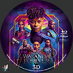 Black_Panther_Wakanda_Forever_3D_BD_v2.jpg