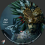 Filename=Black_Panther_Wakanda_Forever_BD_v5.jpg
Filesize=1946KiB
Dimensions=1500x1500
Date added=Oct 29, 2022 Black_Panther_Wakanda_Forever_BD_v5.jpg