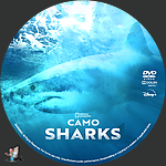 Camo_Sharks_DVD_v1.jpg