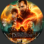Filename=Fantastic_Beasts_The_Secrets_Of_Dumbledore_4K_BD_v3.jpg
Filesize=2740KiB
Dimensions=1500x1500
Date added=Apr 12, 2022 Fantastic_Beasts_The_Secrets_Of_Dumbledore_4K_BD_v3.jpg