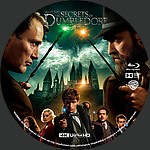Fantastic_Beasts_The_Secrets_Of_Dumbledore_4K_BD_v4.jpg