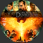 Filename=Fantastic_Beasts_The_Secrets_Of_Dumbledore_BD_v2.jpg
Filesize=2332KiB
Dimensions=1500x1500
Date added=Apr 12, 2022 Fantastic_Beasts_The_Secrets_Of_Dumbledore_BD_v2.jpg