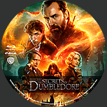 Fantastic_Beasts_The_Secrets_Of_Dumbledore_BD_v3.jpg