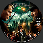 Fantastic_Beasts_The_Secrets_Of_Dumbledore_BD_v4.jpg