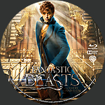 Filename=Fantastic_Beasts_and_Where_to_Find_THem_BD_v1.jpg
Filesize=1652KiB
Dimensions=1500x1500
Date added=Mar 05, 2017 Fantastic_Beasts_and_Where_to_Find_THem_BD_v1.jpg