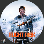 Flight_Risk_4K_BD_v4.jpg