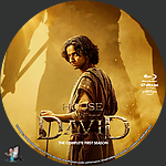 Filename=House_of_David___Season_1_BD_v2.jpg
Filesize=1963KiB
Dimensions=1500x1500
Date added=Feb 28, 2025 House_of_David___Season_1_BD_v2.jpg