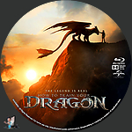 How_to_Train_Your_Dragon_BD_v1.jpg
