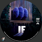 IF_DVD_v1.jpg