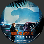 Filename=Jurassic_World_Dominion_4K_BD_v2.jpg
Filesize=1703KiB
Dimensions=1500x1500
Date added=Apr 17, 2022 Jurassic_World_Dominion_4K_BD_v2.jpg