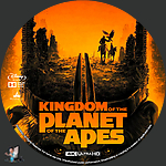 Kingdom_of_the_Planet_of_the_Apes_4K_BD_v17.jpg