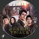 Maze Runner: The Scorch Trials (2015)1500 x 1500Blu-ray Disc Label by BajeeZa