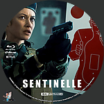 Filename=Sentinelle_4K_BD_v1.jpg
Filesize=975KiB
Dimensions=1500x1500
Date added=Sep 09, 2023 Sentinelle_4K_BD_v1.jpg