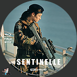 Filename=Sentinelle_4K_BD_v3.jpg
Filesize=1204KiB
Dimensions=1500x1500
Date added=Sep 09, 2023 Sentinelle_4K_BD_v3.jpg