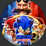 Sonic_the_Hedgehog_2_DVD_v1.jpg