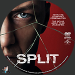 Filename=Split_DVD_v1.jpg
Filesize=1560KiB
Dimensions=1500x1500
Date added=Jan 19, 2024 Split_DVD_v1.jpg