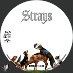 Filename=Strays_4K_BD_v3.jpg
Filesize=730KiB
Dimensions=1500x1500
Date added=Sep 06, 2023 Strays_4K_BD_v3.jpg