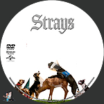 Filename=Strays_DVD_v3.jpg
Filesize=723KiB
Dimensions=1500x1500
Date added=Sep 06, 2023 Strays_DVD_v3.jpg