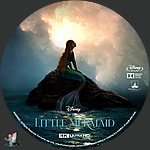 Filename=The_Little_Mermaid_4K_BD_v2.jpg
Filesize=1208KiB
Dimensions=1500x1500
Date added=Mar 19, 2023 The_Little_Mermaid_4K_BD_v2.jpg