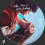 The_Sky_Is_Everywhere_DVD_v1.jpg