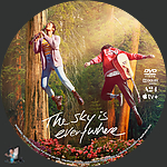 The_Sky_Is_Everywhere_DVD_v2.jpg
