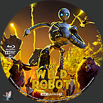 Filename=The_Wild_Robot_4K_BD_v6.jpg
Filesize=2025KiB
Dimensions=1500x1500
Date added=Sep 28, 2024 The_Wild_Robot_4K_BD_v6.jpg