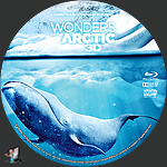 Filename=Wonders_of_the_Arctic_3D_BD_v1.jpg
Filesize=1613KiB
Dimensions=1500x1500
Date added=Dec 04, 2022 Wonders_of_the_Arctic_3D_BD_v1.jpg