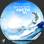 Filename=Wonders_of_the_Arctic_3D_BD_v2.jpg
Filesize=1364KiB
Dimensions=1500x1500
Date added=Dec 04, 2022 Wonders_of_the_Arctic_3D_BD_v2.jpg