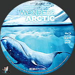 Filename=Wonders_of_the_Arctic_4K_BD_v1.jpg
Filesize=1620KiB
Dimensions=1500x1500
Date added=Dec 04, 2022 Wonders_of_the_Arctic_4K_BD_v1.jpg
