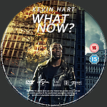 R2_Kevin_Hart___What_Now_01.jpg